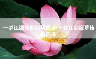 一梦江湖技能如何携带(一梦江湖盗墓技能选择)