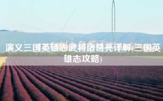 演义三国英雄志武将诸葛亮详解(三国英雄志攻略)