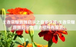 王者荣耀露娜启示之音多少钱(王者荣耀露娜启示之音去掉所有服装)