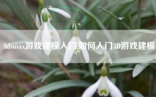 3dsmax游戏建模入门,如何入门3D游戏建模