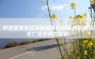 跨越星弧竞技场最强角色选择(跨越星弧死亡竞技场在哪里)