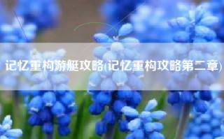 记忆重构游艇攻略(记忆重构攻略第二章)