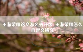 王者荣耀铭文怎么去升级_王者荣耀怎么自定义铭文
