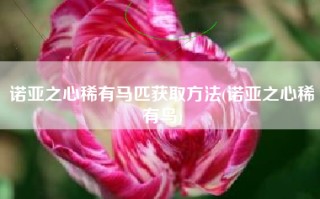 诺亚之心稀有马匹获取方法(诺亚之心稀有鸟)
