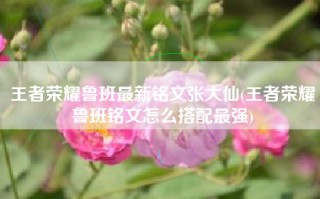 王者荣耀鲁班最新铭文张大仙(王者荣耀鲁班铭文怎么搭配最强)