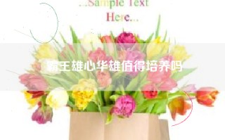 霸王雄心华雄值得培养吗