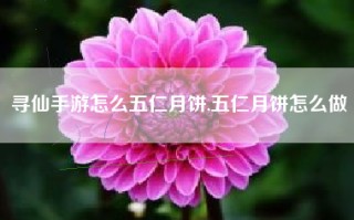 寻仙手游怎么五仁月饼,五仁月饼怎么做