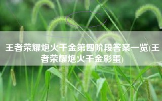 王者荣耀炮火千金第四阶段答案一览(王者荣耀炮火千金彩蛋)