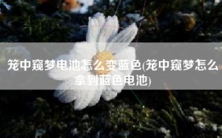 笼中窥梦电池怎么变蓝色(笼中窥梦怎么拿到蓝色电池)