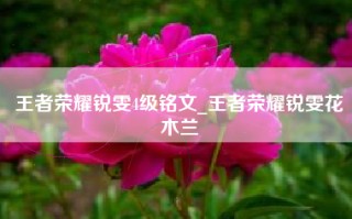 王者荣耀锐雯4级铭文_王者荣耀锐雯花木兰