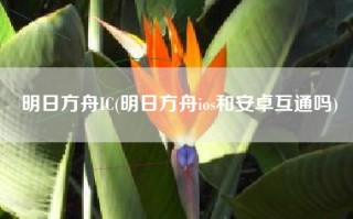 明日方舟IC(明日方舟ios和安卓互通吗)