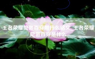 王者荣耀隐匿百穿带什么铭文_王者荣耀隐匿百穿是什么