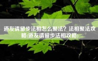 道友请留步法相怎么聚法？法相聚法攻略(道友请留步法相攻略)
