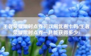 王者荣耀限时点券可以用优惠卡吗(王者荣耀限时点券一共能获得多少)