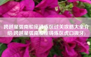 跨越星弧南船座铸炼区过关攻略大全介绍(跨越星弧南船座铸炼区虎口拔牙)