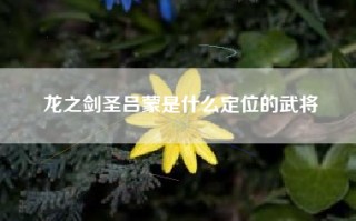 龙之剑圣吕蒙是什么定位的武将