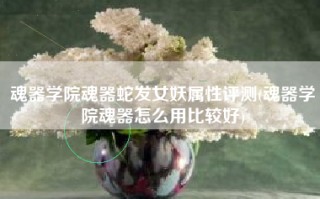 魂器学院魂器蛇发女妖属性评测(魂器学院魂器怎么用比较好)