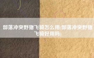 部落冲突野猪飞骑怎么用(部落冲突野猪飞骑好用吗)