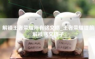 解锁王者荣耀所有铭文格_王者荣耀提前解锁铭文格子
