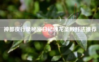 神都夜行录秘密日记烛龙圣殿打法推荐