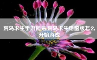 荒岛求生手游网易,荒岛求生电脑版怎么开始游戏