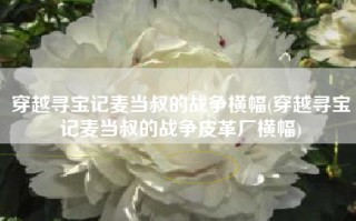 穿越寻宝记麦当叔的战争横幅(穿越寻宝记麦当叔的战争皮革厂横幅)