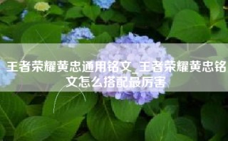 王者荣耀黄忠通用铭文_王者荣耀黄忠铭文怎么搭配最厉害