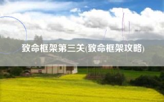 致命框架第三关(致命框架攻略)