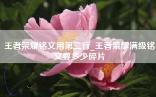 王者荣耀铭文用第二行_王者荣耀满级铭文要多少碎片