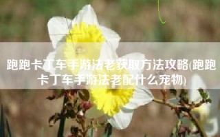 跑跑卡丁车手游法老获取方法攻略(跑跑卡丁车手游法老配什么宠物)