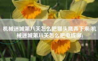 机械迷城第八关怎么把猫头鹰弄下来(机械迷城第八关怎么把电线绑)