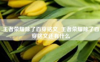 王者荣耀除了百穿铭文_王者荣耀除了百穿铭文还有什么