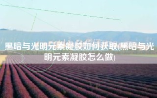 黑暗与光明元素凝胶如何获取(黑暗与光明元素凝胶怎么做)