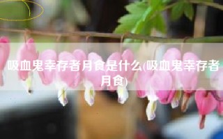 吸血鬼幸存者月食是什么(吸血鬼幸存者月食)
