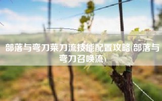 部落与弯刀菜刀流技能配置攻略(部落与弯刀召唤流)