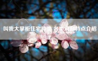 叫我大掌柜住宅种类 各类府邸特点介绍