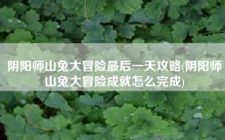 阴阳师山兔大冒险最后一天攻略(阴阳师山兔大冒险成就怎么完成)