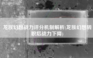 龙族幻想战力评分机制解析(龙族幻想转职后战力下降)