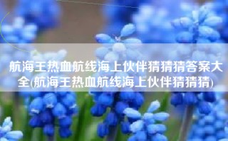 航海王热血航线海上伙伴猜猜猜答案大全(航海王热血航线海上伙伴猜猜猜)