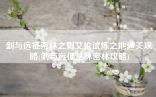 剑与远征密林之刺艾伦试炼之地通关攻略(剑与远征丛林密林攻略)