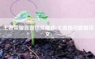 王者荣耀露露铭文推荐(王者那可露露铭文)