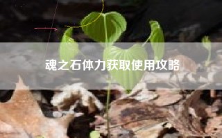 魂之石体力获取使用攻略