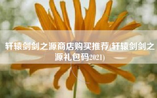 轩辕剑剑之源商店购买推荐(轩辕剑剑之源礼包码2021)