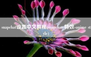 snapchat设置中文教程(snapchat 特效-anime style)