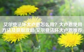艾尔登法环大卢恩怎么用？大卢恩使用方法及获取攻略(艾尔登法环大卢恩推荐)