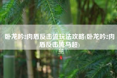 卧龙吟2肉盾反击流玩法攻略(卧龙吟2肉盾反击流马超)