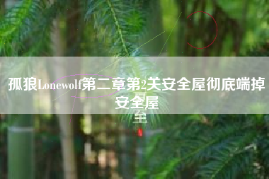 孤狼Lonewolf第二章第2关安全屋彻底端掉安全屋