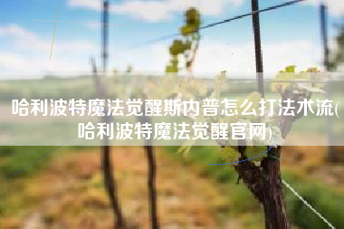 哈利波特魔法觉醒斯内普怎么打法术流(哈利波特魔法觉醒官网)