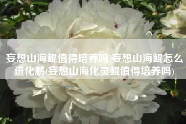 妄想山海鲲值得培养吗 妄想山海鲲怎么进化鹏(妄想山海化灵鲲值得培养吗)
