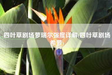 四叶草剧场萝瑞尔强度详解(四叶草剧场希萝)